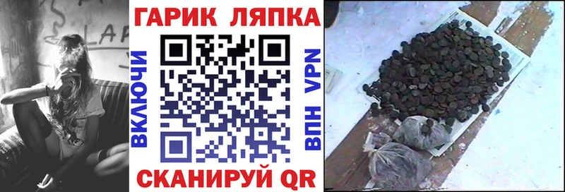 ГАШИШ Изолятор Судогда