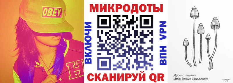 купить наркоту  мориарти клад  Псилоцибиновые грибы мицелий  Судогда 