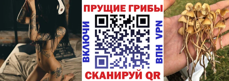 Галлюциногенные грибы Magic Shrooms Судогда